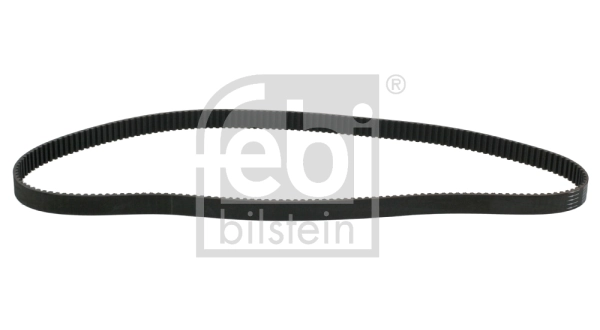 Timing Belt